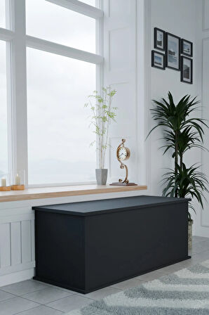 Çeyiz Sandığı Çok Amaçlı Saklama Kutusu Salon Antre Mobilyası Oyuncak Organizer Sandık 125x40 cm
