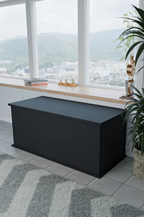 Çeyiz Sandığı Çok Amaçlı Saklama Kutusu Salon Antre Mobilyası Oyuncak Organizer Sandık 125x40 cm