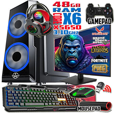 WarboX Gorilla Xeon X5650 48gb Ram 256gb Ssd 250gb Hdd R7 240-4gb E.kartı 22" Monitör Gaming Bilgisayar