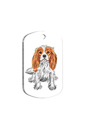 Cavalier Charles Resimli Köpek Künyesi