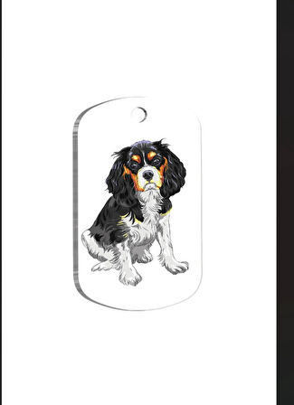 Cavalier Charles 2 Resimli Köpek Künyesi Large 2,9 x 5 cm