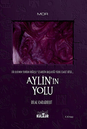 AYLİN’İN YOLU - Bir Kadının Yeniden Doğuşu (Roman)