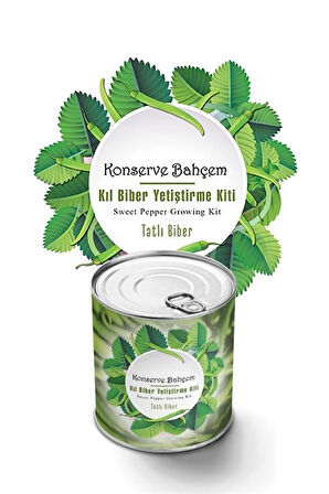  Konserve Bahçem Evde Konservede Tatlı Sivri Biber Yetiştirme Kiti
