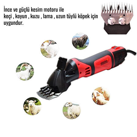 Professional  Koyun Keçi Kırkma Makinesi EEA143