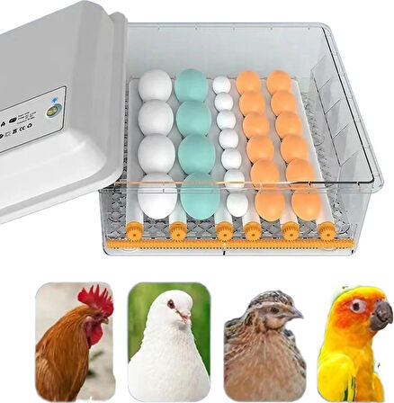 15 Tavuk Yumurta Kuluçka Makinesi
