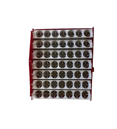 49 Tavuk Yumurtası Viyolu 2,5/3 Rpm Motor Dahil