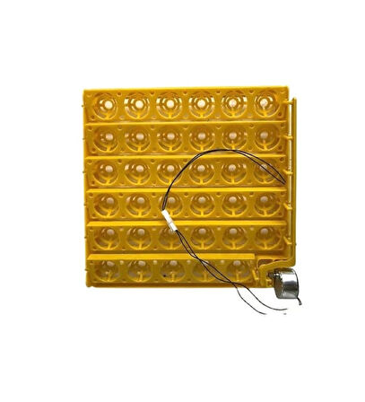 35 Ördek Yumurta Viyolu 1/240 Rpm Motor Dahil