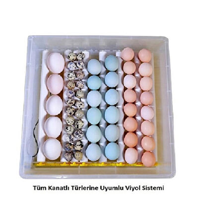 Hobi 120 Kaz Kuluçka Makinesi
