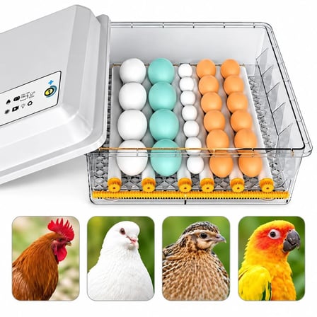 Kuluçka Makinesi 16 Tavuk Yumurtası özel Yapım