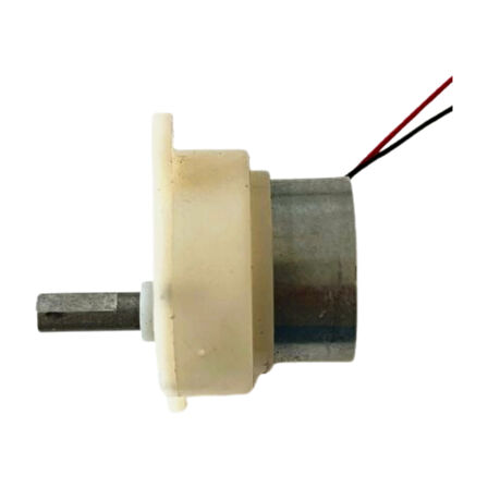 Kuluçka Makinesi Mini Viyol Çevirme Motoru 12 Volt