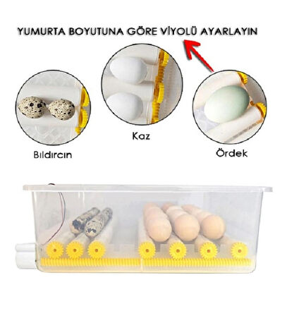 Hobi Kaz Kuluçka Makinesi Model 36