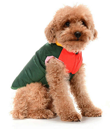 Küçük ve Orta Irk Köpek Mont Murpota Yeşil