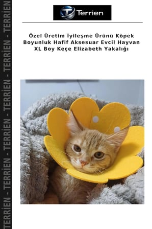 Özel Üretim İyileşme Ürünü Köpek Boyunluk Hafif Aksesuar Evcil Hayvan XL Boy Keçe Elizabeth Yakalığı