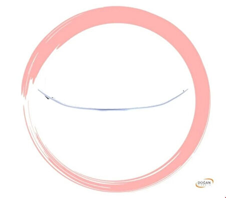 Fiat Egea 2021-2025 Arası Uyumlu Alt Krom Ön Panjur Kuşağı