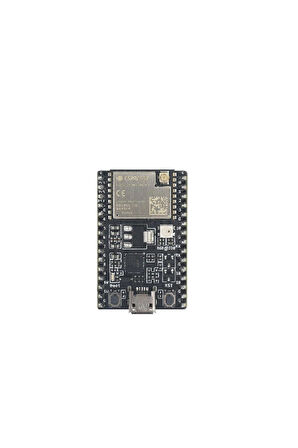 ESP32-C3-DevKitC-02U 2.4GHz Wi-Fi (IEEE802.11b/g/n) ve Bluetooth 5 Geliştirme Kiti