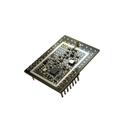 NTR08CFH4 433MHz RF LoRa Transceiver Modülü (SX1262, SAW Filtre, +20dBm, U.FL RF Konnektör)
