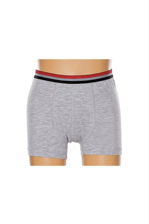 Gri Likralı Çocuk Boxer 343  (6 Adet)