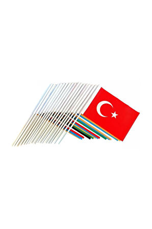 Eski Türk Devlet Bayrakları 100x150 - Sopalı