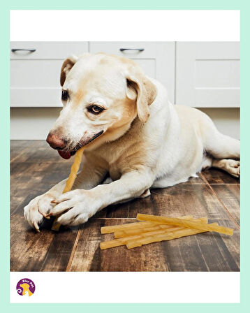 Gimdog Chewbone Köpek Diş Bakımı Temizliği Burgu Ödül Çiğneme Çubuğu Kemiği 50LI 300gr