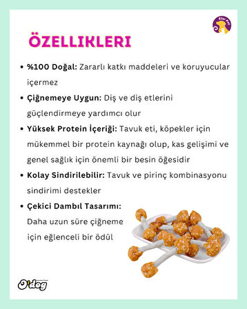 O'dog Gerçek Tavuk Eti ve Pirinç Köpek Ödülü (100 G)