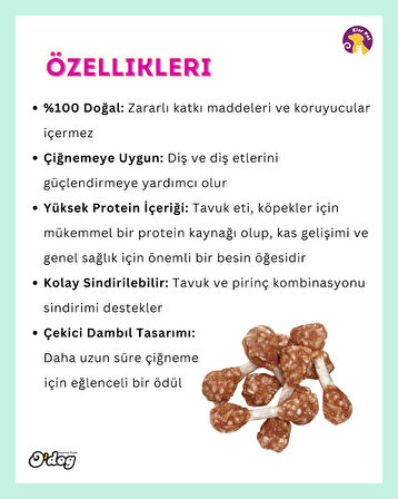 O'dog Gerçek Ördek Eti ve Pirinç Köpek Ödülü (100 gr)