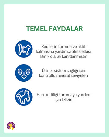 Hill's Science Plan Kısırlaştırılmış Tavuklu Yetişkin Kedi Maması 3kg