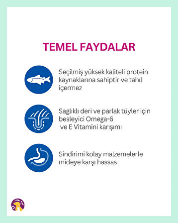 Hill's Hipoalerjenik Tahılsız Somonlu Küçük ve Mini Irk Yetişkin Köpek Maması 6kg