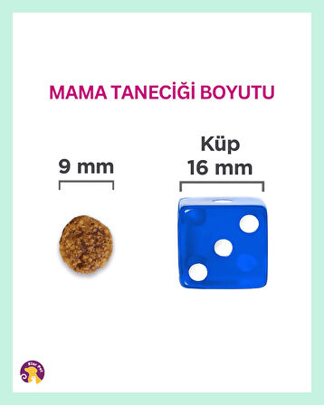 Hill's Hipoalerjenik Tahılsız Somonlu Küçük ve Mini Irk Yetişkin Köpek Maması 1.5kg