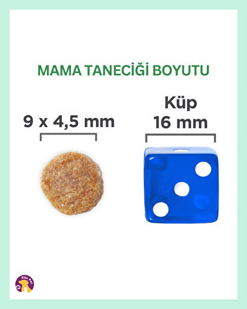 Hill's Science Plan Tavuklu Yetişkin Kedi Maması 1/5 kg