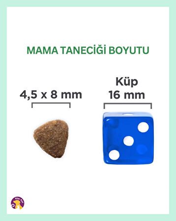 Hill's Science Plan Kitten Ton Balıklı Yavru Kedi Maması 1/5kg