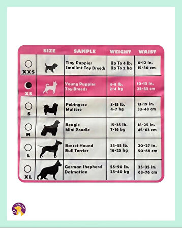 Hushpet Ultra Emici Köpek Külot Çiş Pedi Xs Beden 12'li