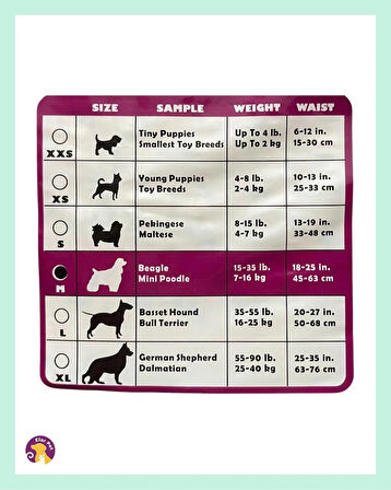 Hushpet Ultra Emici Köpek Külot Çiş Pedi M Beden 12'li