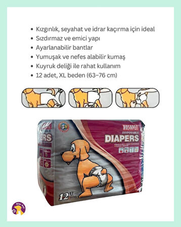Hushpet Ultra Emici Köpek Külot Çiş Pedi XL Beden 12'li