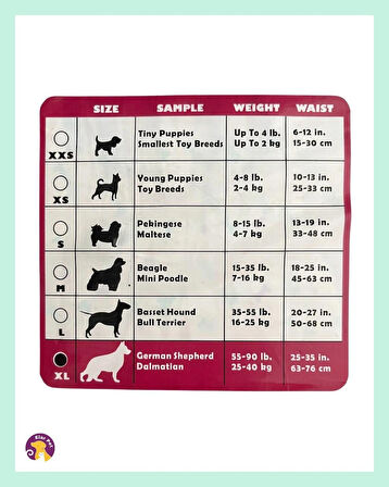 Hushpet Ultra Emici Köpek Külot Çiş Pedi XL Beden 12'li