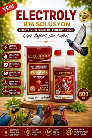 Baykuş Electroly B16 Solüsyon Güvercin Ve Tüm Kanatlılar İçin Enerji Mineral Takviyesi 500 ml
