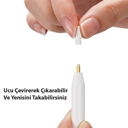 Dux Ducis Apple Pencil İçin Yedek Uç 2 Adet-(5775)