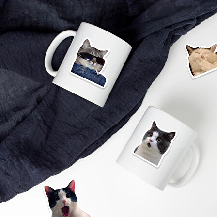 Çılgın Cats Sticker Seti | Laptop Ajanda Notebook Tablet Telefon Defter Etiket Bullet Journal