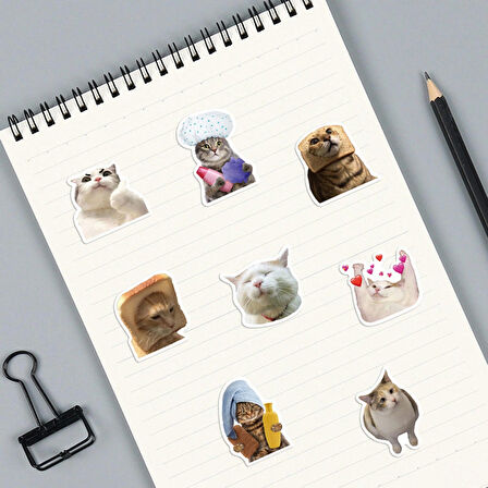 Çılgın Cats Sticker Seti | Laptop Ajanda Notebook Tablet Telefon Defter Etiket Bullet Journal