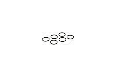 Elring 537.890 Conta Manifold N52-N53-N54 Emme Set 11617547242