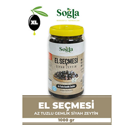 El Seçmesi Gemlik Zeytini