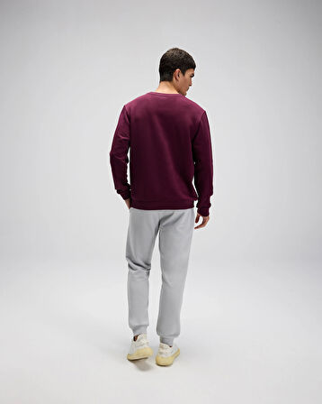 Ellesse Erkek Sweatshirt EM579