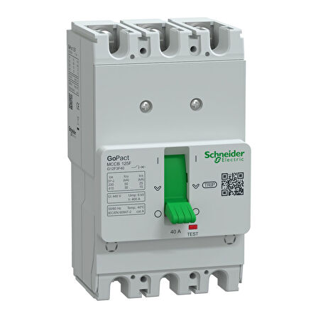Schneider Gopact Şalter 125F 30Ka Ac 3P3D 40A SabiT