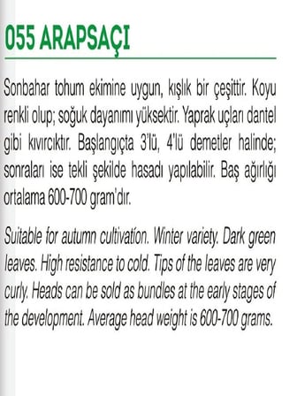 AGRODAL TARIM Ata Tohumu Yerli Marul Arapsaçı 1000 Adet Tohum