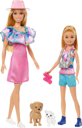 Barbie ve Stacie Kız Kardeşler İkili Set 2 evcil köpek ve aksesuarlar bulunan Barbie ve Stacie kız kardeş bebek seti HRM09