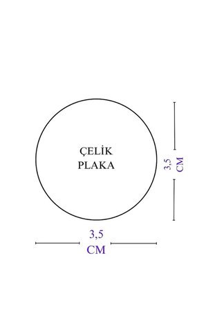 Parlak Taşlı Balık Gold Çelik Çift Taraflı Ayetel Kürsi/ Nazar Ayeti Araba Dikiz Ayna Süsü