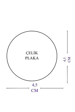 Doğal Akik Taşlı Gümüş Renk Çelik Çift Taraflı Ayetel Kürsi Felak Nas Ihlas Araba Ayna Süsü(4,5 CM)