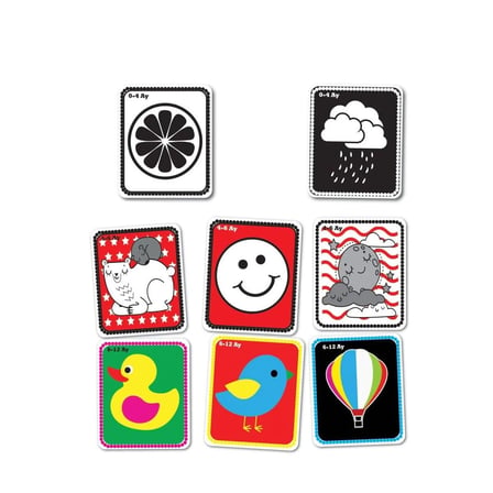 1369 F.cards Bebeğimin İlk Zeka Kartları