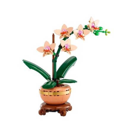 10343 iconic Botanicals Mini Orkide 274 parça +18 yaş