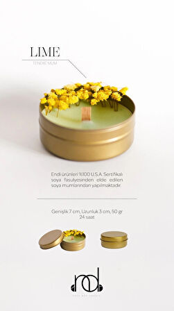 %100 Doğal Soya Wax Ve Doğal Uçucu Yağlı Aromaterapi Hediyelik Teneke Mum ''LIME''