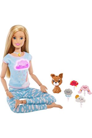 Gnk01 Barbie Nefes Egzersizi Bebeği /barbie Wellness